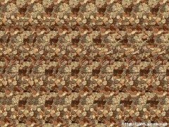 �ٶ�ѵ����3Dͼ